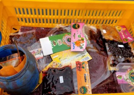 پلمب کارگاه غیرمجاز تولید لواشک و آلوچه در بخش خاوران