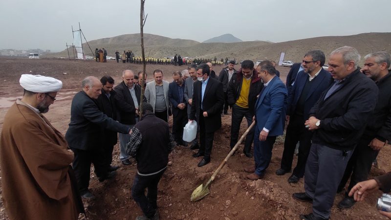 کاشت نهال در محدوده روستای چهلقز بمناسبت هفته منابع طبیعی +فیلم
