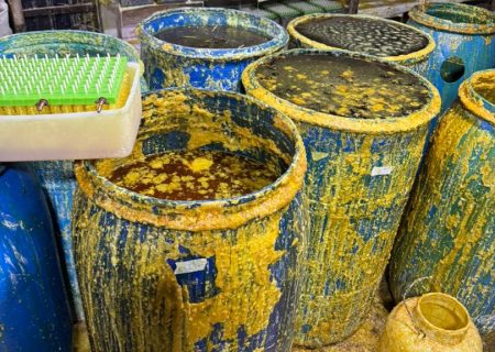 کشف و پلمپ واحد تولیدی نبات غیرمجاز در روستای لپه‌زنک + تصاویر