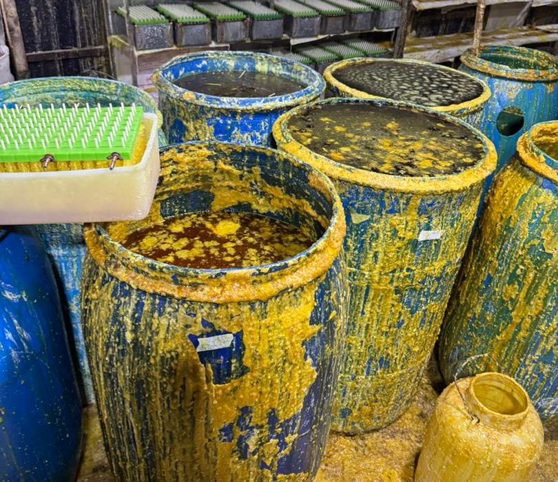 کشف و پلمپ واحد تولیدی نبات غیرمجاز در روستای لپه‌زنک + تصاویر