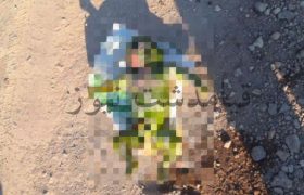 کشف جسد نوزاد چندروزه در کانال آب ری – ورامین محدوده قیامدشت/ پرونده در پزشکی قانونی