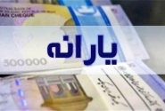 دهک‌های ۱ تا ۳ می‌توانند ۲ برابر یارانه‌شان خرید کنند و اقساطی بپردازند